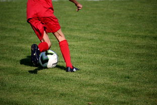 九游娱乐app下载-中超球队球员年龄结构，中超球队平均年龄